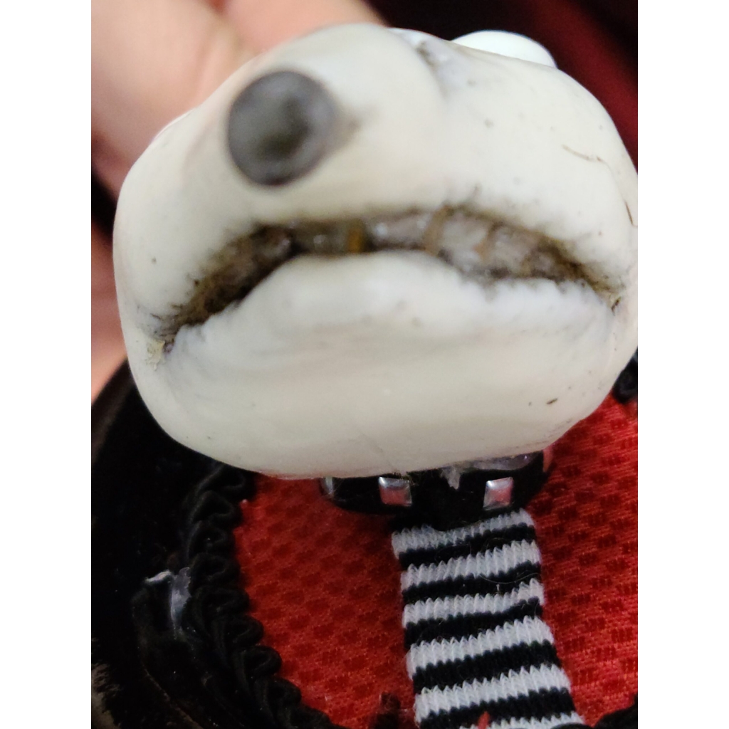 Sparky di Frankenweenie quadro piccolo