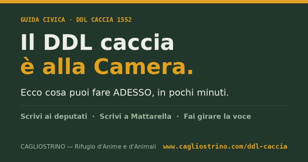 DDL Caccia 1552: il momento di farsi sentire è adesso
